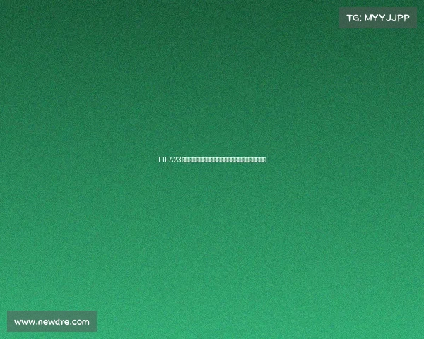 FIFA23模拟世界杯荷兰征战全纪实战术复盘与夺冠之路解析篇